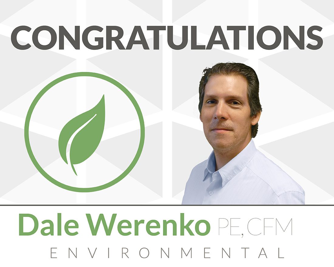 Dale Werenko Promoted to Vice President