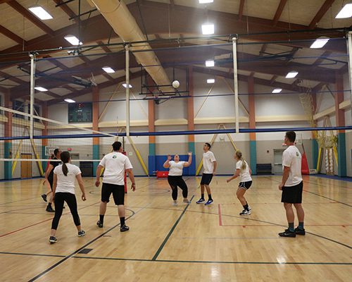 Employees enjoying a game of volleyball