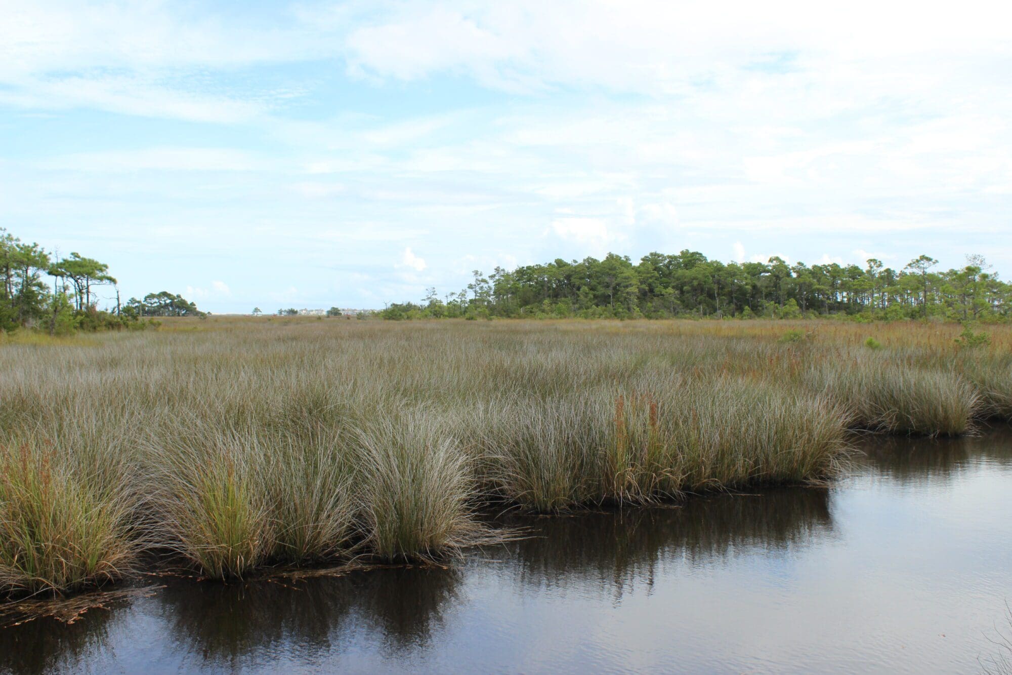 CAMA Land Use Planning Services WithersRavenel