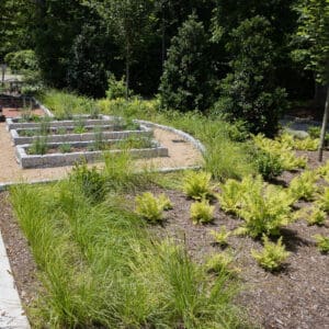 A garden at the Ivey-Ellington House.