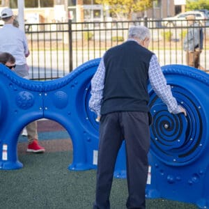 Images from a sensory garden at High Point Public Library.