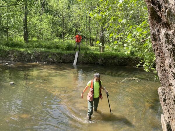 An environmental professional crossing a stream.