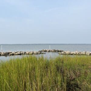 Jockey's Ridge State Park Shoreline Restoration