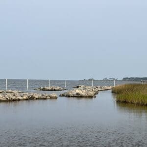 Jockey's Ridge State Park Shoreline Restoration