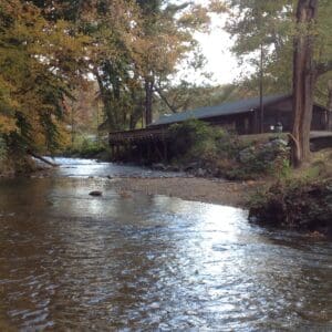 Harmon Field Stream Restoration, river view