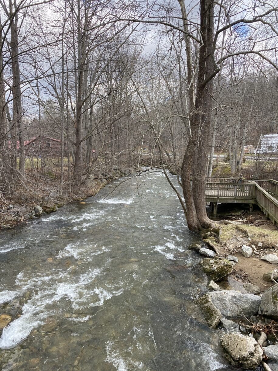 An image of a river running through Maggie Valley.