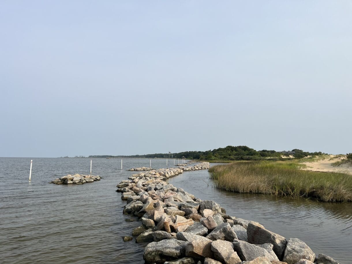 A living shoreline at Jockeys Ridge State Park.