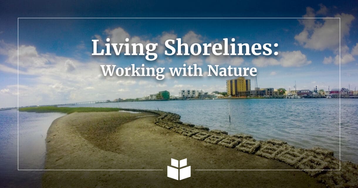 A graphic of living shorelines.