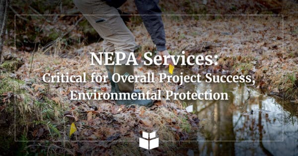 A graphic image that helps explain NEPA Services in relation to the article.