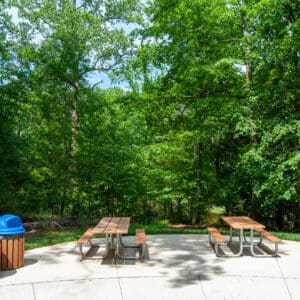 Picnic tables on a concrete slab surrounded by trees.