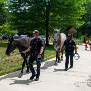 Policemen walking horses down a sidewalk.