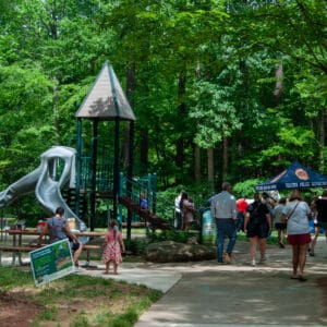 A playground in the distance covered by trees.