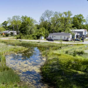 Aerial view of a constructed wetland surrounded by native vegetation, homes, streets, and mature trees.