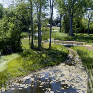 Aerial view of a constructed wetland with a wooden footbridge, mature trees, young plantings, and nearby streets.