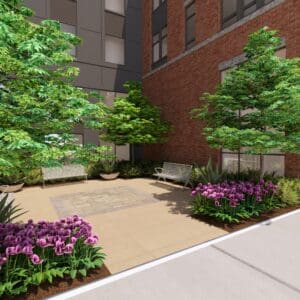 Architectural rendering of Avalon Downtown Cary's outdoor swimming pool and amenity deck, featuring lounge chairs, umbrellas, landscaped planters, and residential buildings.